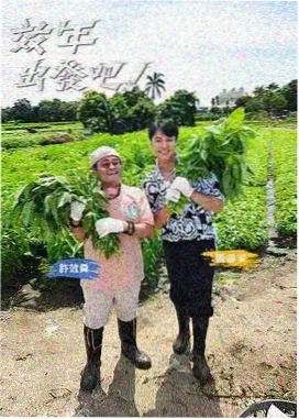 趣味综艺